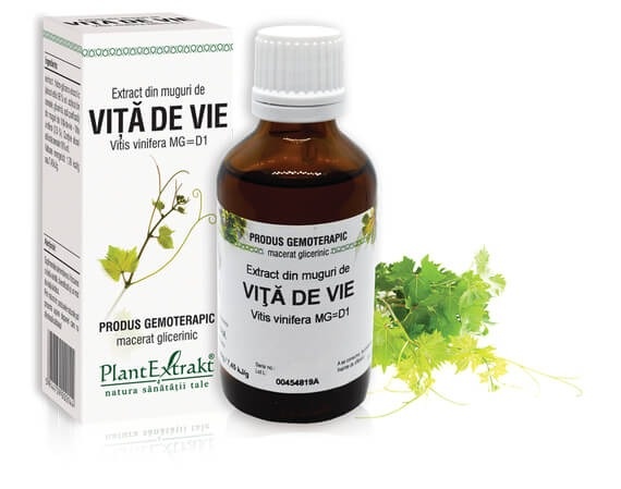 Extract din muguri de Vita de Vie, 50ml, PlantExtrakt