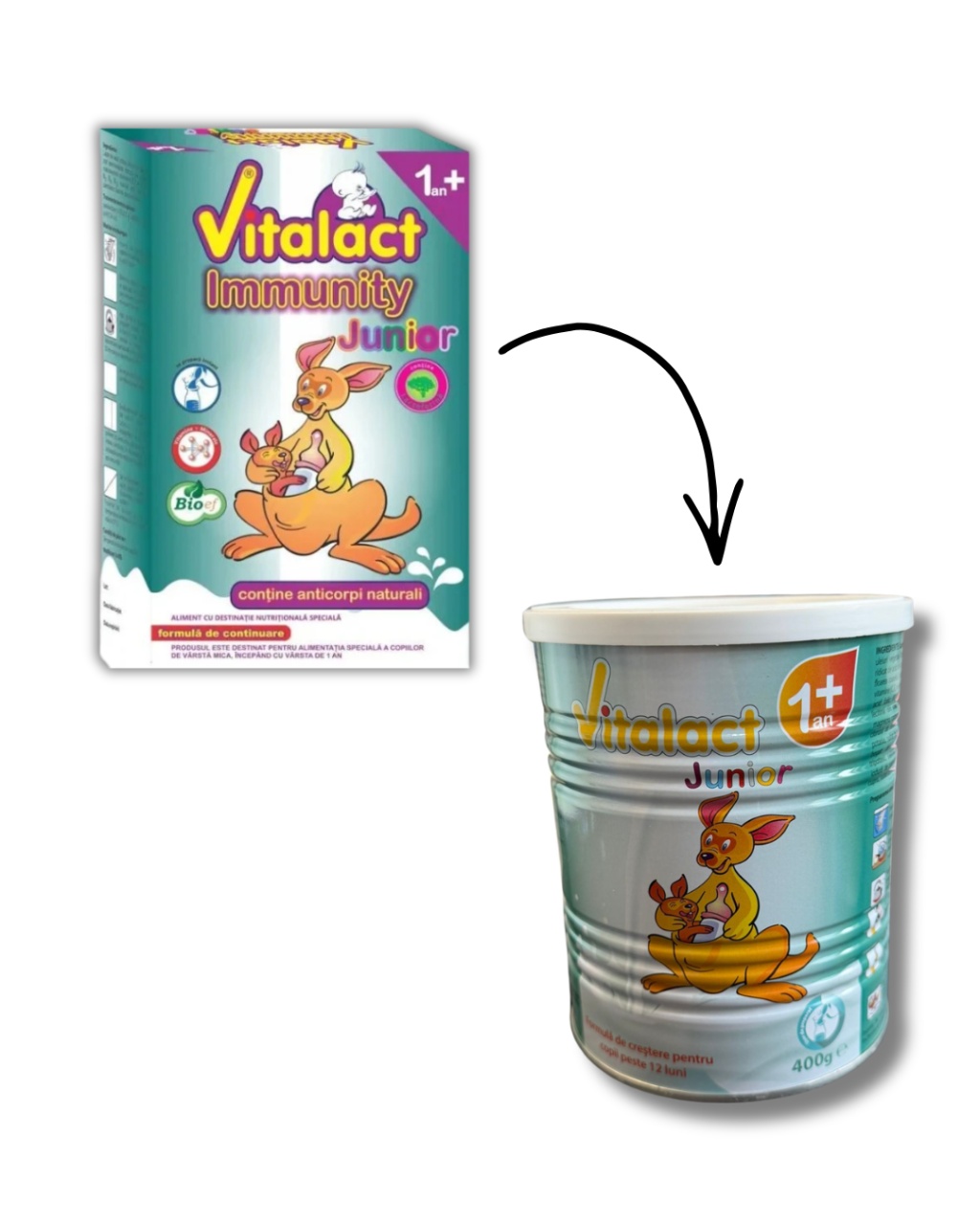 Lapte praf Vitalact Immunity Junior +1 an, 400 g, Bloef