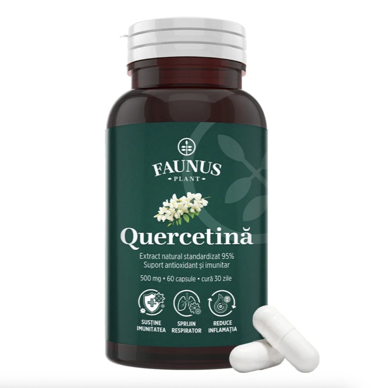Quercetină, 90 Capsule Vegetale, Faunus Plant