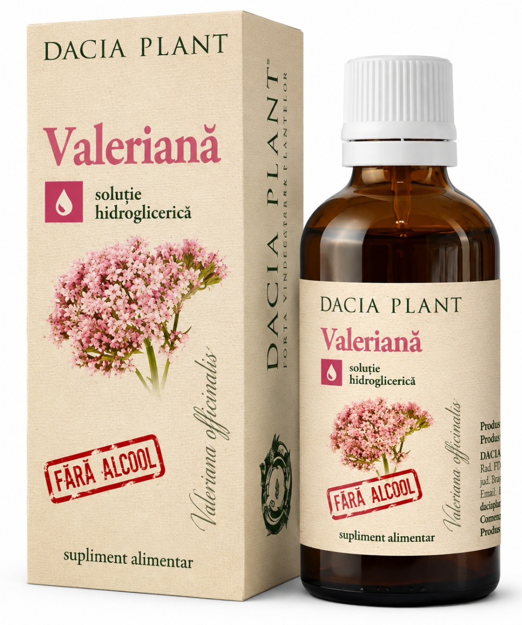 Exclusiv Tinctură de Valeriană fără Alcool, 50 ml, Dacia Plant - Modern Remedii Naturiste DACIA PLANT P.F Exclusiv Tinctură de Valeriană fără Alcool, 50 ml, Dacia Plant - Modern Remedii Naturiste DACIA PLANT P.F