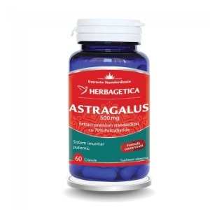 Astragalus 500mg, 60 capsule, Herbagetica