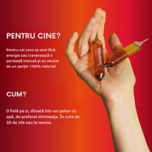 Vitamax 6G, 10ml, 20 fiole, Santarome - Img 5