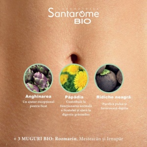 Bien-etre du foie-Hepatonic BIO, 20 fiole Santarome - Img 3