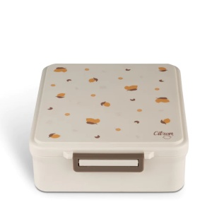 Caserola pentru pranz cu 4 compartimente + 1 recipient termo - Lemon, Citron