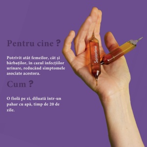Confort Urinaire Bio Phyto, 10ml, 20 fiole, Santarome - Img 4