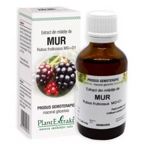 Extract din mladite de mur, 50ml, PlantExtrakt