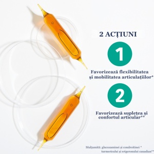 Myosteo Confort Articulaire, 10 ml, 20 fiole, Santarome - Img 5