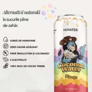 Apa naturala cocos cu suc de Mango, 320ml, Hiwater