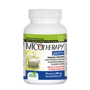 Micotherapy gastro x 90cps
