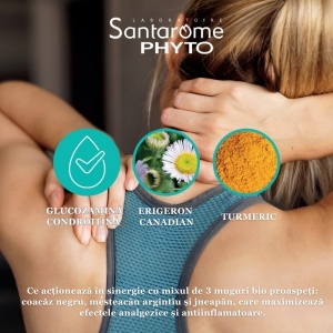 Myosteo Confort Articulaire, 10 ml, 20 fiole, Santarome - Img 2