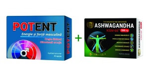 Pachet Potent, 30 capsule + Ashwagandha KSM-66, 500mg, 10 capsule, Cosmopharm