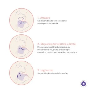 Biberon cu tetina M NaturalWave, +3luni, 240ml, Lansinoh - Img 6