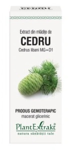 Extract din mladite de Lemn Cainesc, 50ml, PlantExtrakt