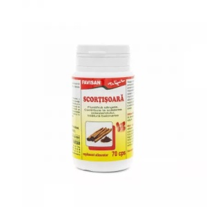 Scortisoara, 70 capsule, Favisan