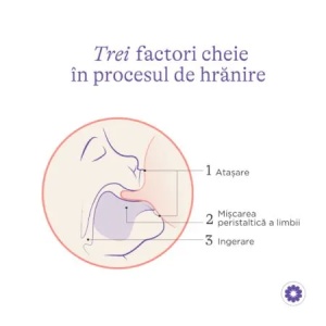 Biberon cu tetina M NaturalWave, +3luni, 240ml, Lansinoh - Img 3