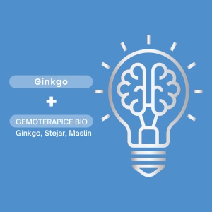 Ginkgo Bio 2000, 10ml, 20 fiole, Santarome - Img 3