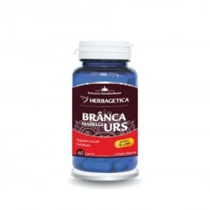 Branca Marelui Urs, 60 capsule, Herbagetica