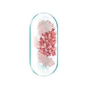 Calciu Marin + Vitamina D2 naturală, 30 capsule, Rotta Natura - Img 3