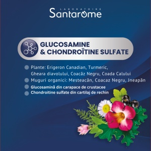 Myosteo Confort Articulaire, 10 ml, 20 fiole, Santarome - Img 7