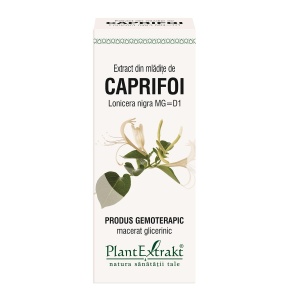 Extract din mladite de Caprifoi, 50ml, PlantExtrakt