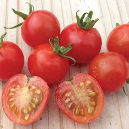 Păstrarea semințelor de tomate: cum să recoltezi și cum să usuci semințele de tomate