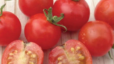 Păstrarea semințelor de tomate: cum să recoltezi și cum să usuci semințele de tomate