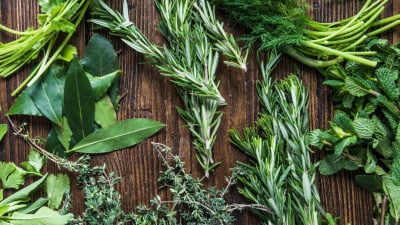 Ingrijirea plantelor cu alte plante: extracte, decocturi, infuzii, macerate