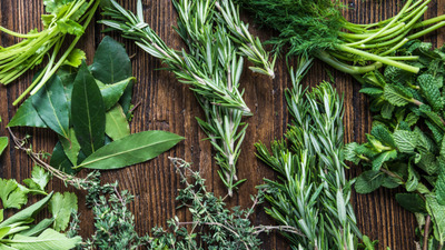 Ingrijirea plantelor cu alte plante: extracte, decocturi, infuzii, macerate