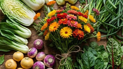 Calendarul Grădinarului: Ce să semeni în luna august pentru o recoltă de toamnă sigură?
