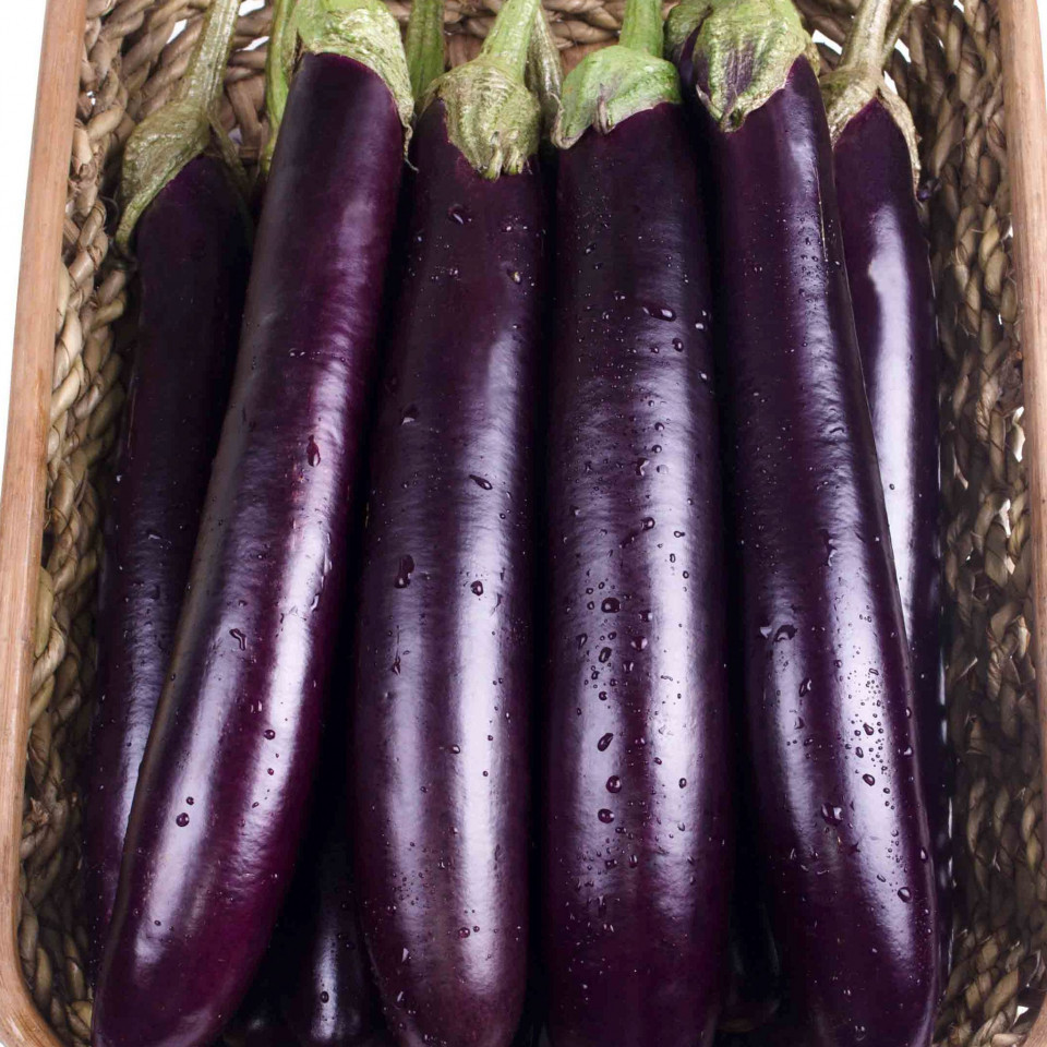 Vinete Long Purple (2 g), seminte soi semitimpuriu, vinete lungi ...