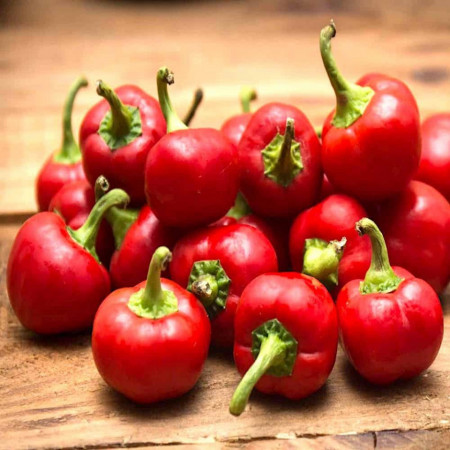 Ardei iute Red Cherry Small (0,3 g), seminte soi productiv, fructe tip cireasa, mici, rotunde, gust foarte iute, Agrosem