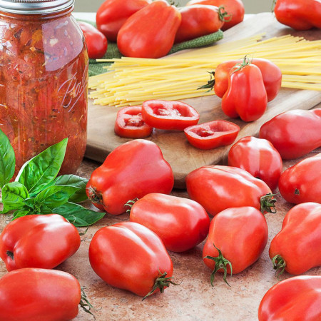 Rosii San Marzano 3 (0,4 g), seminte soi semitardiv nedeterminat, tomate pentru bulion, Agrosem