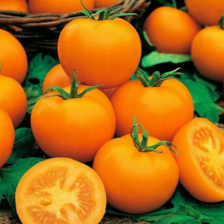 Rosii galbene Golden Konigin (0,2 g), seminte soi timpuriu, tomate galbene productive, Agrosem