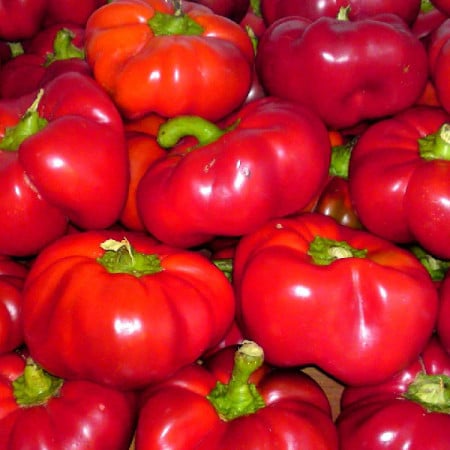 Ardei gogosar Bucur (1000 sem), seminte gogosar soi timpuriu, rosu intens, dulce, Patru Agro