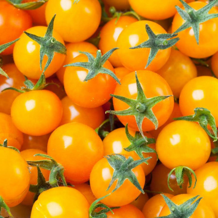 Rosii Orange Cherry (0,2 g), seminte soi timpuriu nedeterminat, tomate portocalii rotunde, mici, gust aromat, Agrosem