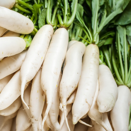 Ridichi de toamna Japana F1 (1 g), seminte hibrid radacini albe tip Daikon, foarte lungi, carnoase, Kertimag