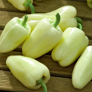 Ardei dulce Feher (0,7 g), seminte soi nedeterminat, ardei lung alb, dulce, pentru umplut, Prima Sementi