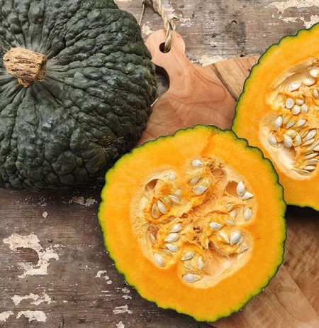 Dovleac de copt Marina di Chioggia (2 g), seminte soi tardiv, dovleci coaja verde, miezul portocaliu, dens, dulce, Agrosem