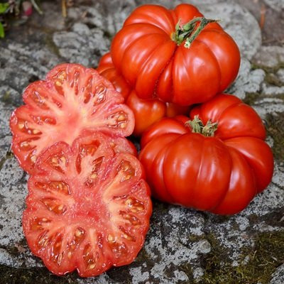Rosii Costoluto Fiorentino (0,4 g), seminte soi semitimpuriu, tomate taranesti foarte gustoase, Agrosem