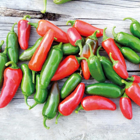 Ardei iute mexican Jalapeno (0,3 g), seminte soi ardei foarte iute, pulpa groasa, zemoasa, Agrosem