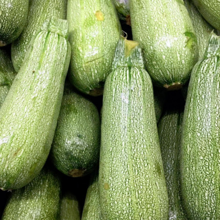 Dovlecei Grey Zucchini (2 g), seminte soi timpuriu, dovlecel coaja verde deschis, miez alb, Agrosem