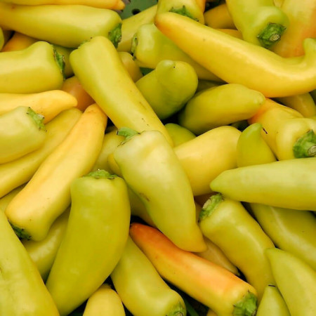 Ardei iute Hungarian Yellow Hot (0,5 g), seminte soi semitimpuriu, fructe multe, galbene, gust iute, Agrosem