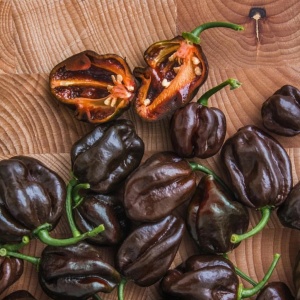 Ardei iute Habanero ciocolatiu (20 seminte) ardei extrem de iute, aroma deosebita, fructata, Kertimag - Img 2