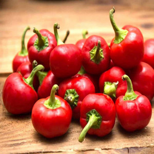 Ardei iute Red Cherry Small (0,3 g), seminte soi productiv, fructe tip cireasa, mici, rotunde, gust foarte iute, Agrosem