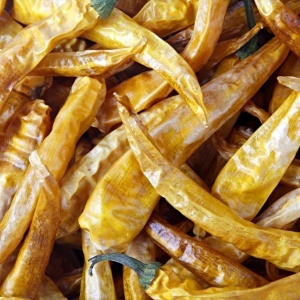 Ardei pentru boia Yellow Cayanne (0,5 g) seminte ardei iute galben de Cayenne, gust iute, perfect pentru murat sau boia, Kertimag - Img 2