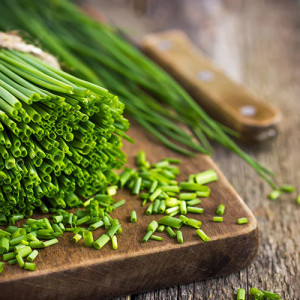Ceapa pentru frunze Bohemia (2 g), seminte planta aromatica perena, ceapa de tuns, Kertimag - Img 2
