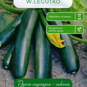 Plic seminte dovlecei zucchini soi Soraya ambalaj original