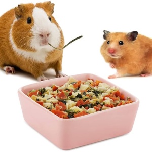 Hrana Rozatoare (1 kg) amestec ingrediente hranitoare pentru hamsteri, iepuri mici, veverite, Kertimag - Img 3