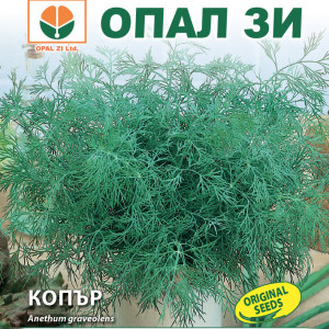 Marar (3 g), seminte marar cu frunze fine, foarte aromate, Opal