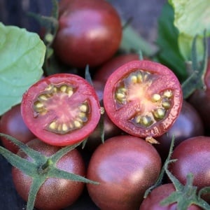Rosii Black Cherry (0,10 g) seminte soi foarte productiv, tomate cherry negre, foarte aromate, Prima Sementi - Img 3